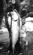 Jim Holland Jr. - May 11, 2001 202lb 8oz - 20 lb tippet Chassahowitzka